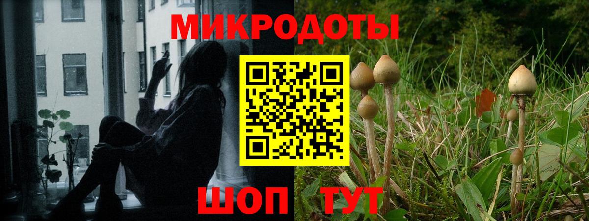 Псилоцибиновые грибы Magic Shrooms  Вход с VPN  Якутск  Псилоцибиновые грибы MAGIC MUSHROOMS 
